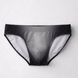 The Seaman Statement Brief