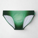The Seaman Statement Brief