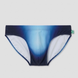 The Seaman Statement Brief